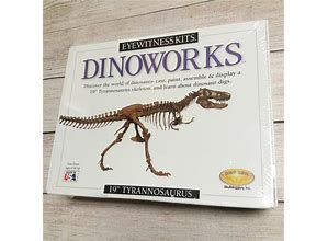 Skullduggery Kits 19" Tyrannosaurus Rex Skeleton Cast - New Toys & Collectibles | Color: White