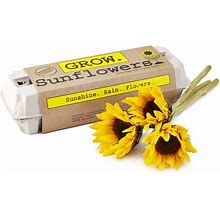 Sunflower Garden Grow Kit | Grow Kits | Seed Gifts: Grow Your Own Plant Kits | Football Gifts