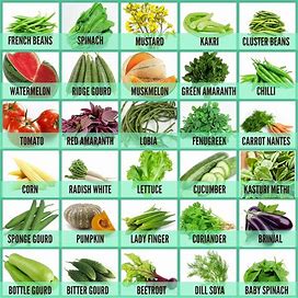 30 Varieties Of Vegetable And Fruits Seeds For Kitchen Garden 1800+ Seeds