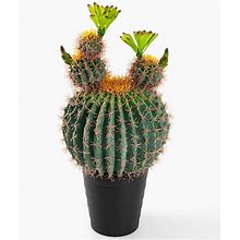 30 Inches Tall Realistic Large Faux Cactus Plant In Matte Black Pot. Gorgeous...