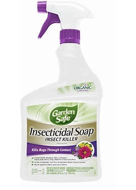 Garden Safe HG-93216 Ready-To-Use Insecticidal Soap Insect Killer, Liquid, Spray Application, 32 Fl-Oz