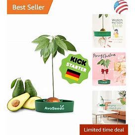 Avocado Tree Growing Kit - Easy To Use - 4.72X2.95X1.18 - Gardening