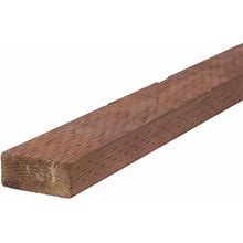2 in. X 4 in. X 8 ft. Brown Stain Ground Contact Pressure-Treated Lumber WW (Actual: 1.5 in. X 3.5 in. X 96 In.)