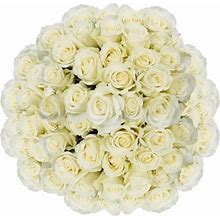 100 Stems Of Pleasure Roses- Fresh Flower Delivery