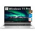 HP Probook 450 G9 Business Laptop, 15.6 Inch FHD Display, 12th Gen Intel 10-Core I5-1235U (Beat I7-1195G7), Windows 11 Pro, 32GB RAM, 1TB SSD,