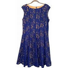 Danny & Nicole Dresses | Danny & Nicole Lace Fit & Flare Sleeveless Pleated Party Dress Plus Size 16 | Color: Blue/Cream | Size: 16
