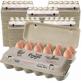 240 Pcs 2X6 Egg Cartons Bulk 1 Dozen Cardboard Egg Cartons Paper Pulp