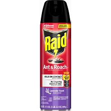 Raid Ant & Roach Killer Spray - SJN365982