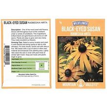 Black-Eyed Susan Flower Seeds - 1 Gram Packet - Perennial Wildflower Garden Seeds - Rudbeckia Hirta