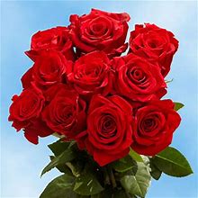 50 Red Wedding Roses