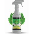 Infestics Organic Home Pest Control Spray Kills Repels Ants Roaches Spiders And Other Pests Guaranteed All Natural Pet Safe Indooroutdoor Spray