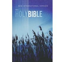 NIV Value Outreach Bible, Paperback, Case Of 32