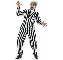 Fun Shack Mens Striped Suit Costume Adult Crazy Guy Horror Movie Halloween Halloween Black/White M