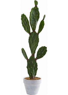 37 in. Indoor Cactus Artificial Plant