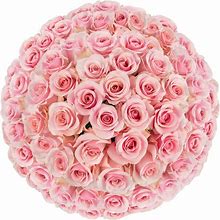 Member's Mark 60 cm Ecuadorian Premium Roses - Pink (100 Stems)