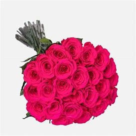 Long Stem Roses | Hot Pink Roses | About 20 | The Million Roses | Luxury Preserved Roses | Flower Delivery