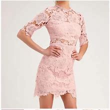 Lulu's Dresses | Lulu Pink Lace Mini | Color: Pink | Size: M