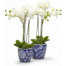 Two's Company Floral Fantasy Set Of 2 Blue And White Hand-Painted Planters Porcelain