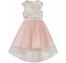 Rare Editions Girl's 12 Blush Embroidered Mesh High-Low Dress $78