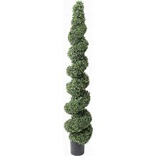 American Boxwood Spiral Topiary By Valerie
