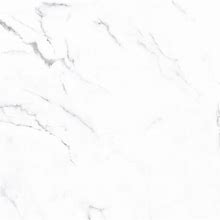 Style Selections Calacata White 20-In X 20-In Glazed Ceramic Marble Look Floor And Wall Tile (2.75-Sq. Ft/ Piece) | 77363