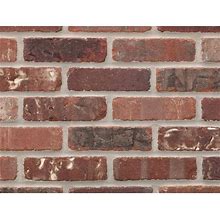 General Shale Providence Series Carbon 1/2-In X 8-In Tumbled Natural Stone Ledgestone Brick Patterned Wall Tile (6.849-Sq. Ft/ Carton)