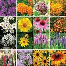 Eden Brothers Northeast All Perennial Wildflower Mixed Seeds For Planting, 5 Lb, 2,400,000+ Seeds With Milkweed, NE Aster | Attracts Pollinators, Plan