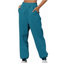 Hfyihgf Sweatpants For Women Baggy Elastic Waist Pants Fall Basic Pleated Trousers Workout Solid Joggers Pants With Pockets Sky Blue S