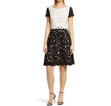 Shani Laser Cut A-Line Dress In Black/White At Nordstrom, Size 6