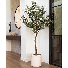 Olive Tree Faux Indoor Plant For Indoors Artificial Fake In Pot