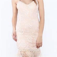 Minuet Petite Dresses | Minuet Lace Feather Trim Dress | Color: Cream/Pink | Size: M
