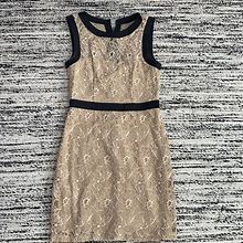 Max & Cleo Dresses | Maddy Dress By Max & Cleo | Color: Black/Tan | Size: 6