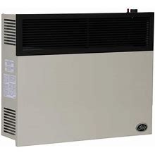 25,000 BTU Direct Vent Propane Heater