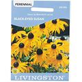 Livingston Seed Black Eye Susan Seeds Packet
