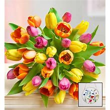 Assorted Tulip Bouquet 30 Stems With Suncatcher | 1-800-Flowers Flowers Delivery