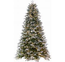 Vickerman 7.5' X 56" Frosted Douglas Fir Artificial Pre-Lit Christmas Tree, Warm White 3mm LED Lights. In A 21"Lx21"Wx7"H Base.