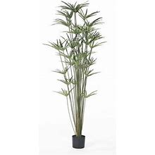Primrue 60" Artificial Foliage Plant In Pot Polyester/Plastic | 65 H X 22 W X 22 D In | Wayfair 47Edff6ba546865f88a81e0037f7093b