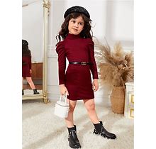 Young Girl Turtleneck Puff Sleeve Dress Without Belt,5Y