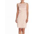 Ellen Tracy Dresses | New Ellen Tracy Rose Lace Sheath Dress! | Color: Cream/Pink | Size: 16