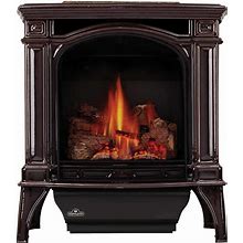 Napoleon GDS25NN-1 Bayfield Direct Vent Cast Iron Stove, Porcelain Majolica Brown, Propane Gas