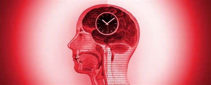 Clock Inside Brain of Person