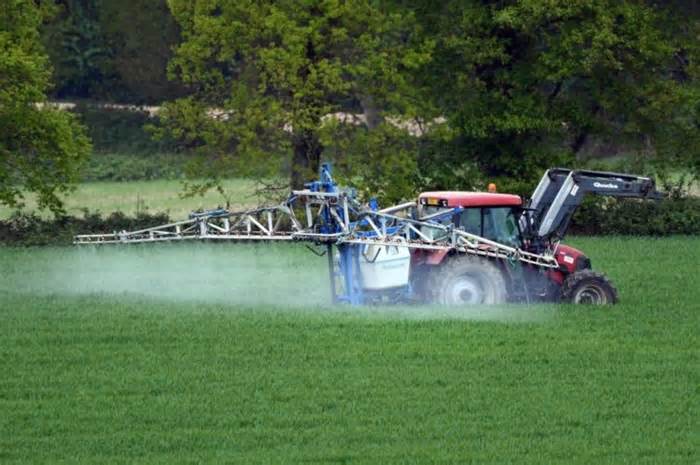 Pesticides : « Si les Français étaient informés ils auraient encore plus peur »