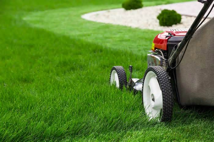 7 Reasons You Should Never Leave Your Grass Too Long Before Winter