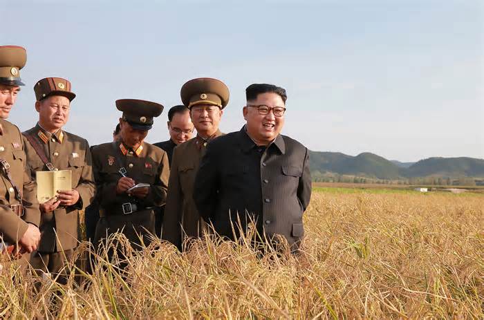 Kim Jong Un Tours North Korean Field