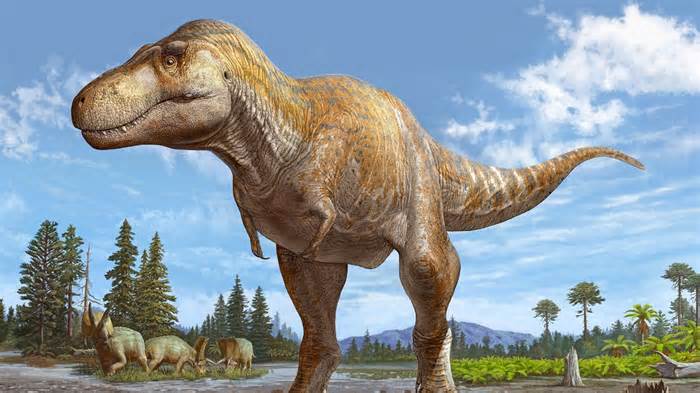 An artist's illustration of Tyrannosaurus mcraeensis