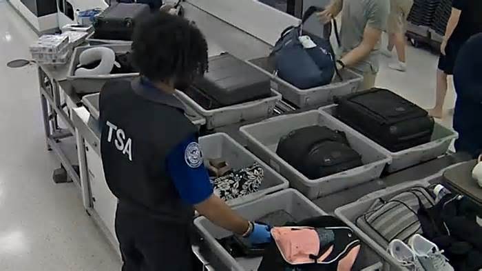 A TSA officer slipping his hand into a purse as it goes through a checkpoint at Miami International Airport. He was charged with grand theft and organized schemes to defraud.