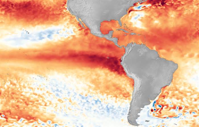 The El Niño pattern stands out in the warm sea surface temperature anomalies in the Pacific in 2023