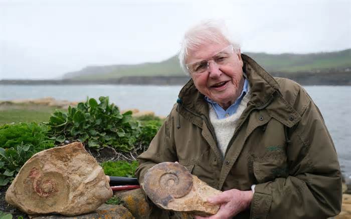 Sir David Attenborough has long held a keen interest in dinosaurs