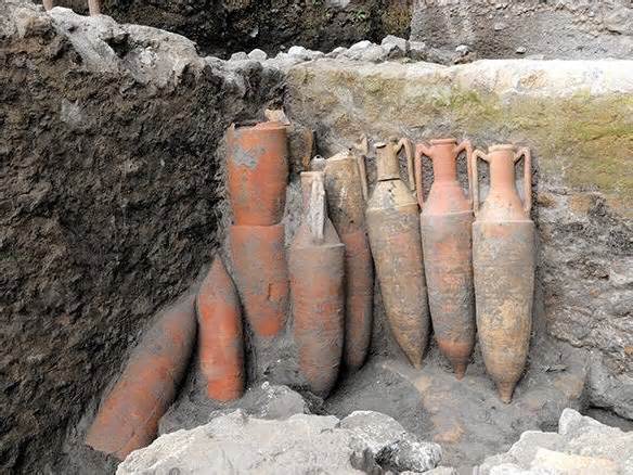 Researchers found several amphorae, ancient vases that stored wine, in one of the old villa's rooms.