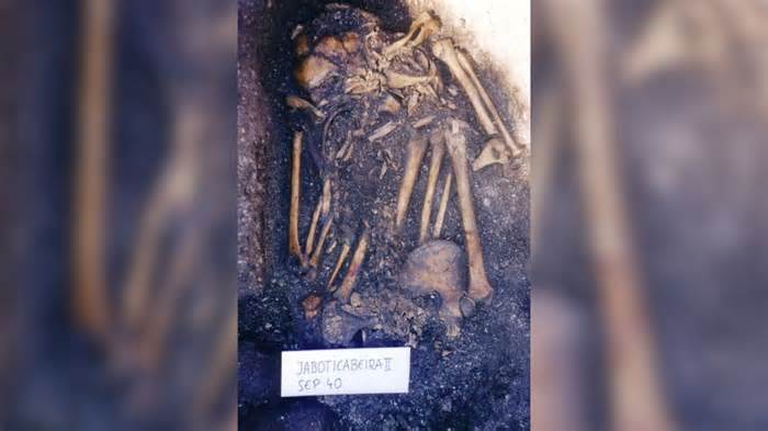 A skeleton unearthed by researchers at Jabuticabeira II is shown. - Jose Filippini